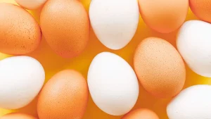 Bruine en witte eieren