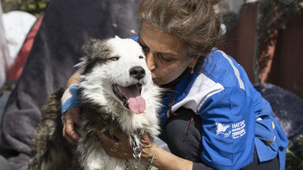 Hond na 23 dagen onder puin vandaan gehaald in Turkije