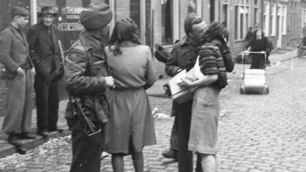 Nederlandse-halfbroer