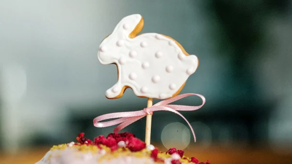 Deze Aldi (paas)snoepjes zorgen voor commotie bij de klant: 'Dit zijn toch geen konijntjes?'
