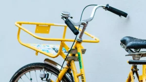 Thumbnail voor Mieke (70) stak de banden van een fietsendief lek: 'Althans, dat dácht ik'