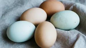 Thumbnail voor Voor een appel en een peperduur ei: in aanloop naar Pasen worden eieren nóg duurder