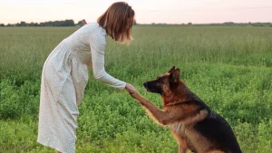 Thumbnail voor Lydia's ex bedroog haar en verdween met de hond: 'Het huis was ineens helemaal leeg'