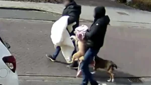 Thumbnail voor Honden van 8-jarig meisje gestolen uit huis: 'Laffe daad heeft ons gezin getraumatiseerd'