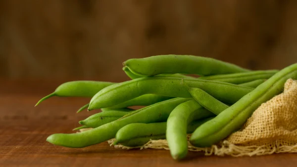 sporen-van-giftige-plant-zwarte-nachtschade-sperziebonen-jumbo
