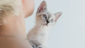 Thumbnail voor Feline (31) zorgde voor de kat van een vriendin: 'De vlooien zaten overal en ik moest alles betalen'