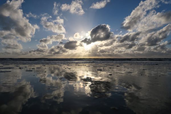 urn gevonden op het strand van westland