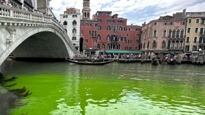 Thumbnail voor Abnormaal kanaal: water Canal Grande in Venetië kleurt felgroen