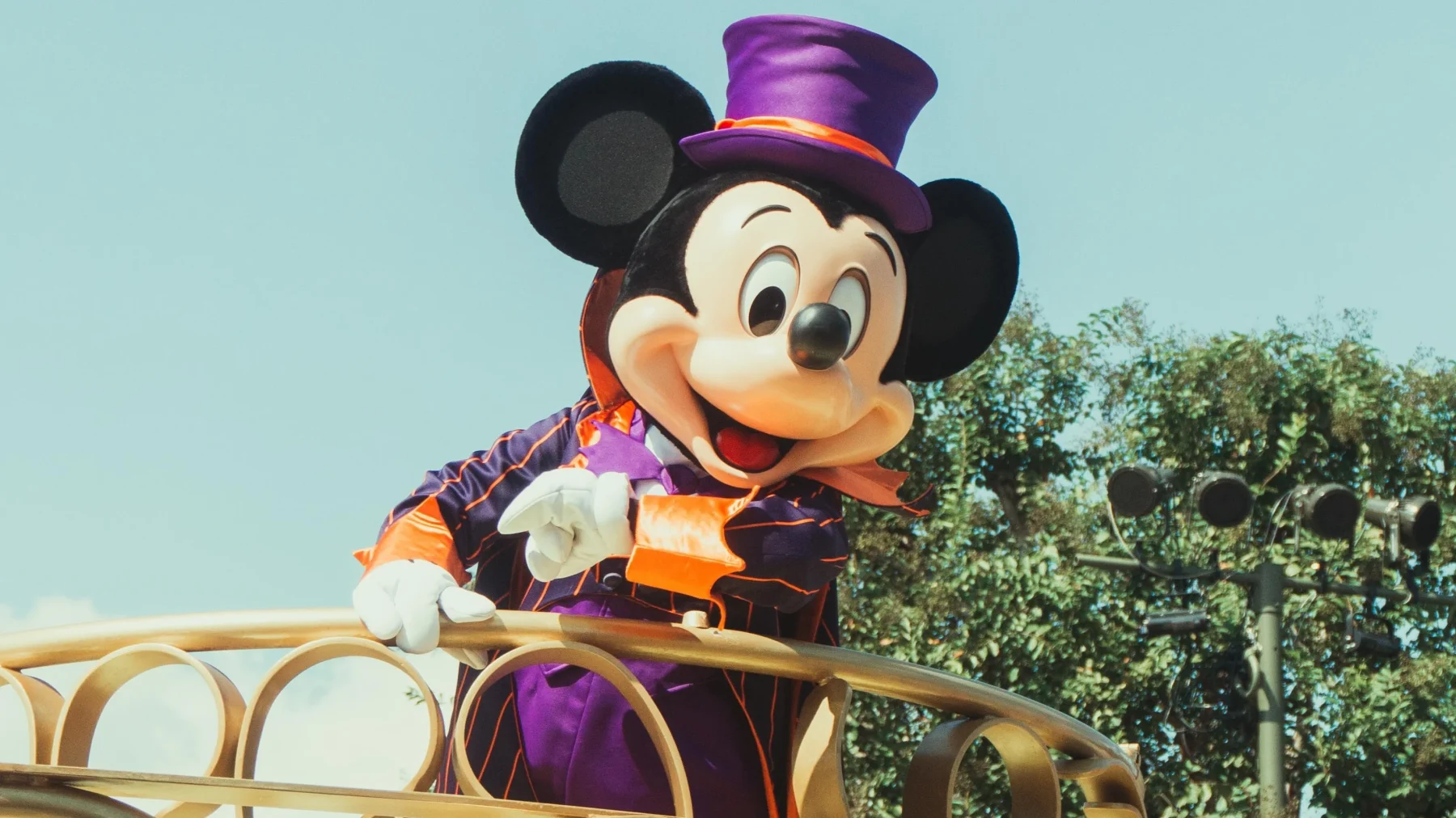 Disneyland Staking