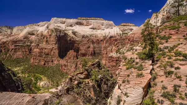 Jongen (14) en stiefvader overlijden na wandeling in 'helse temperaturen' in Texas