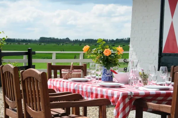 Terras molen