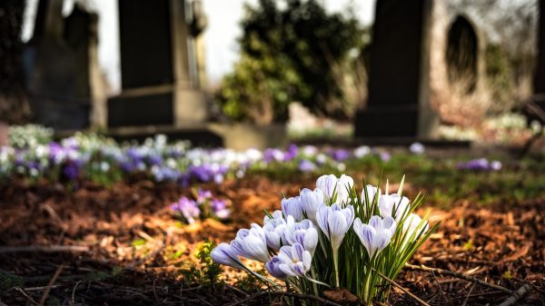 Vrouw in Maastricht per ongeluk opgesloten op begraafplaats