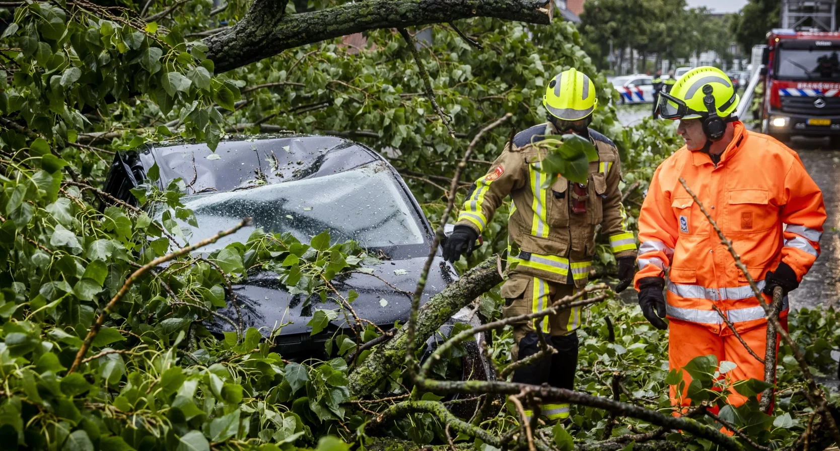Code Rood Poly Code rood: zo raast storm Poly over ons land - LINDA.nl