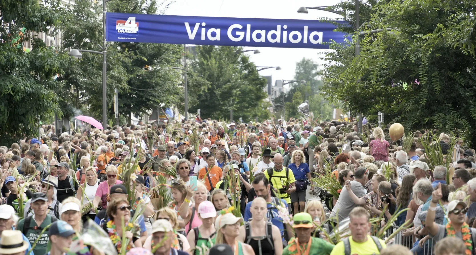 nijmeegse vierdaagse