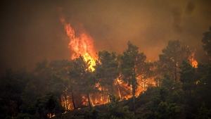 Thumbnail voor Reisorganisaties schrappen vluchten naar Rhodos wegens bosbranden