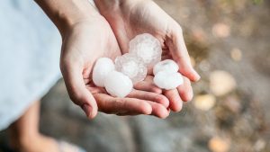 Thumbnail voor Nederlanders delen beelden van noodweer Italië: 'Hagelstenen zo groot als tennisballen en kapotte auto's'