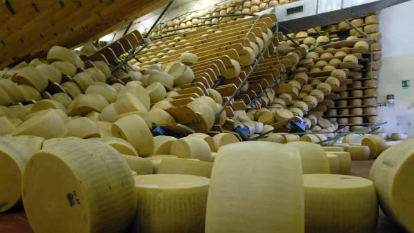 Italiaanse kaasmaker (74) overlijdt door vallende kazen