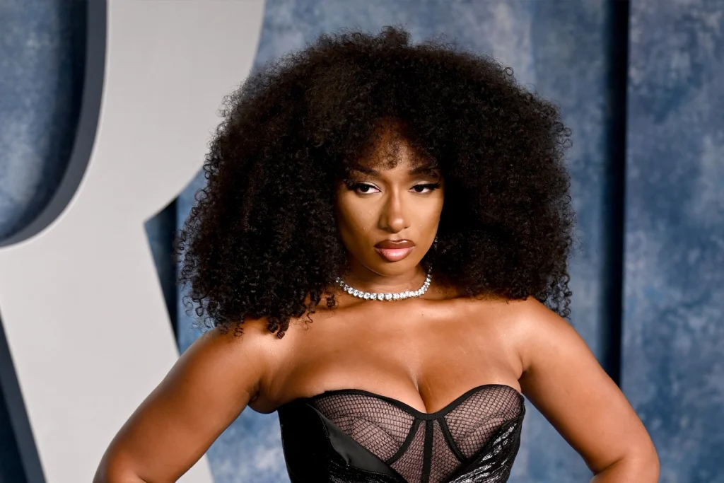 megan thee stallion tory lanez celstraf