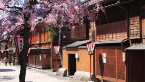 Thumbnail voor Alles kan, in Japan: fijne hotspots en reistips voor dit unieke land