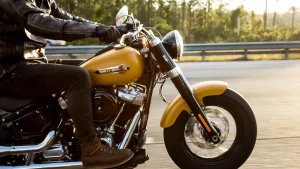 Thumbnail voor Motorrijder (20) werd pas vier dagen na ernstig ongeluk op Franse snelweg gered