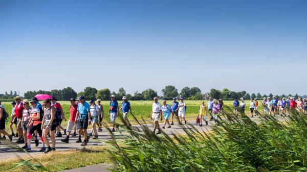 Deelnemers aan Waalwijkse wandeltocht bevangen door de hitte
