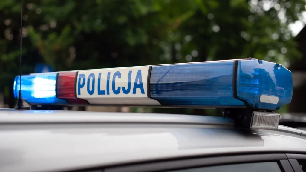 Poolse politie vindt baby's in kelder
