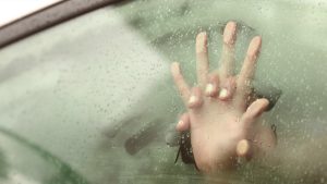 Thumbnail voor Eva: 'De man scheen met zijn zaklamp in de auto, vol op mijn blote billen'