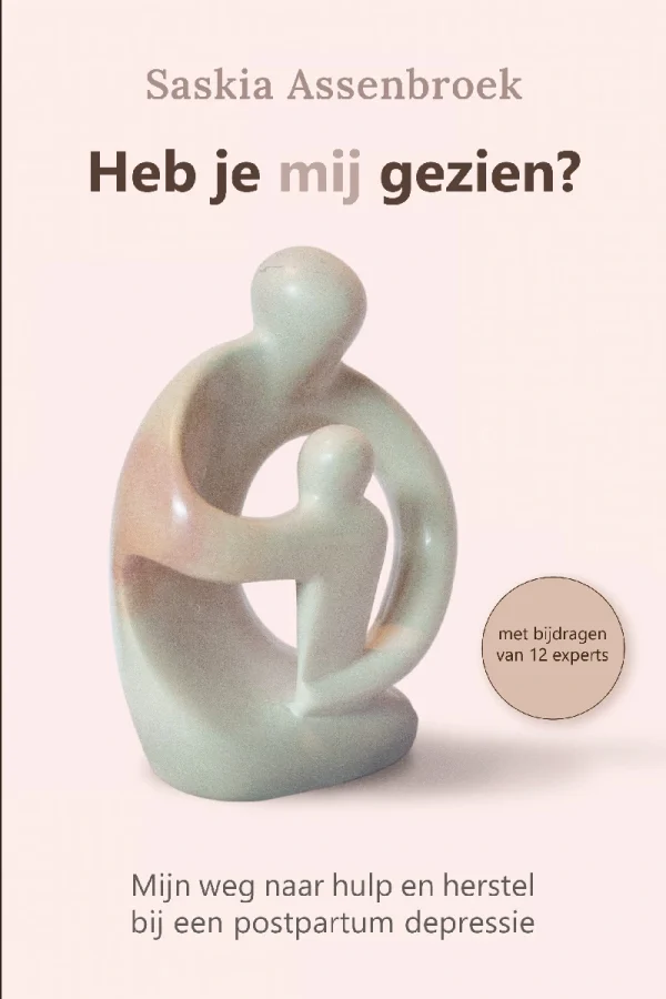 Cover van het boek