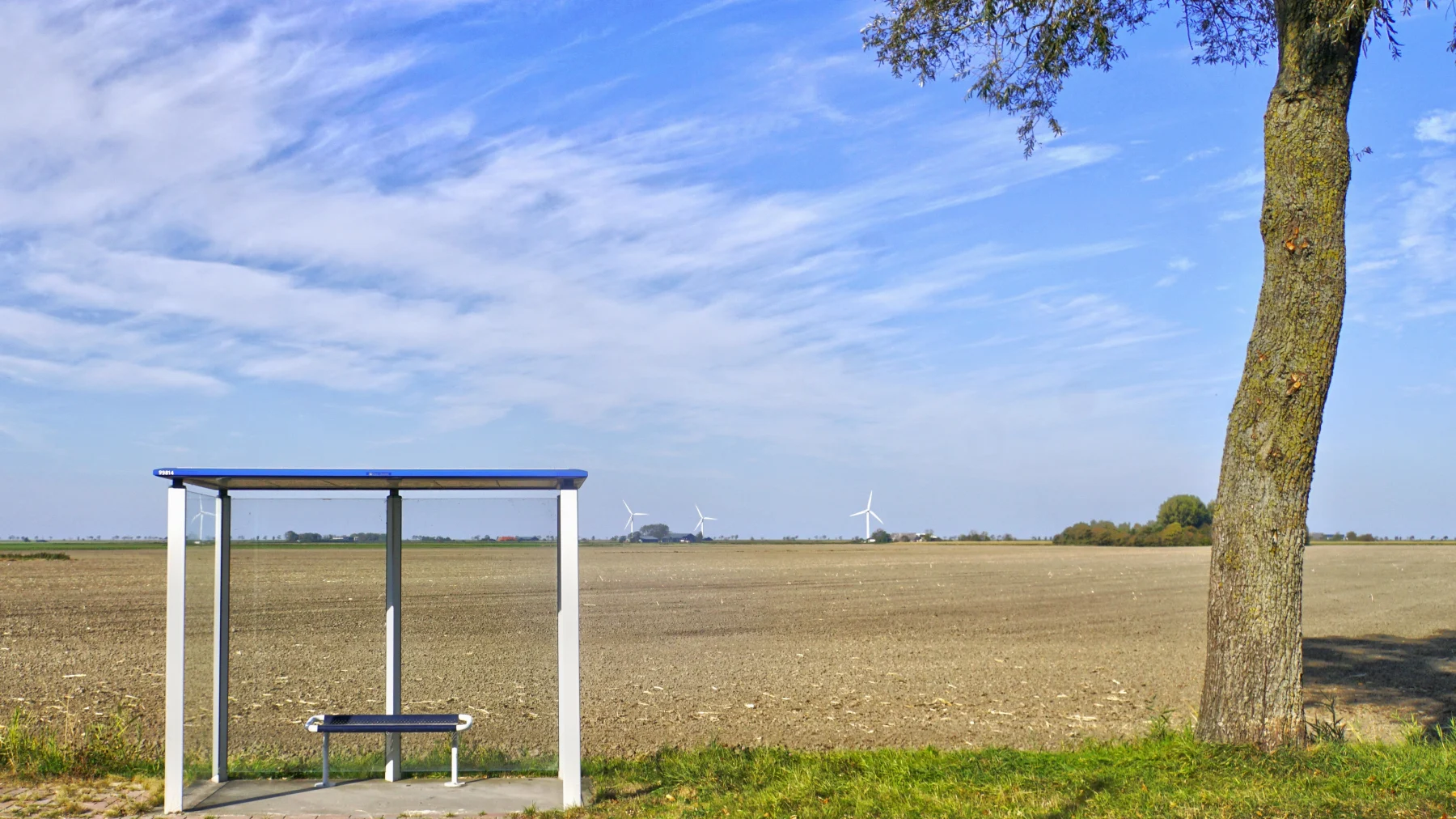 'Hoofdstuk bizarre meldingen': wijkagent vindt sarcofaag in bushokje