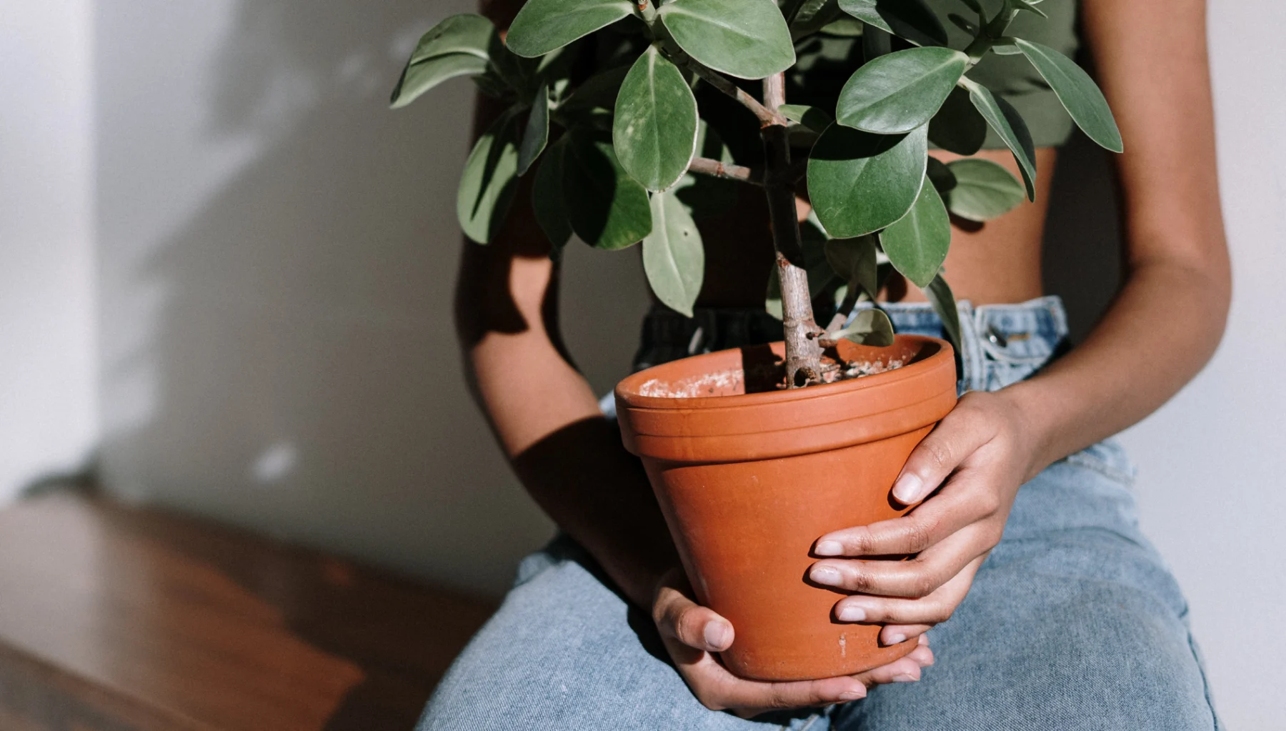 vrouw met plant in haar handen | Onverklaarbaar