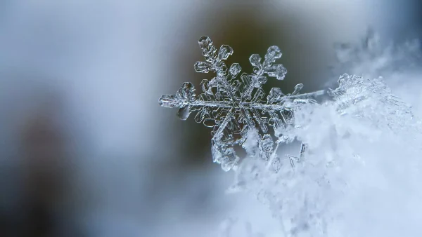 Sneeuwvlokje | Winterweer