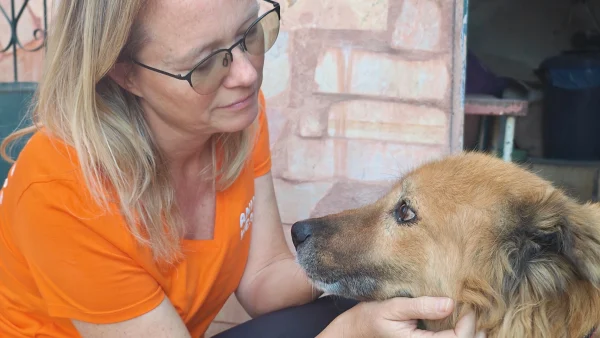 Esther Kef met een zwerfhond in de Westbank