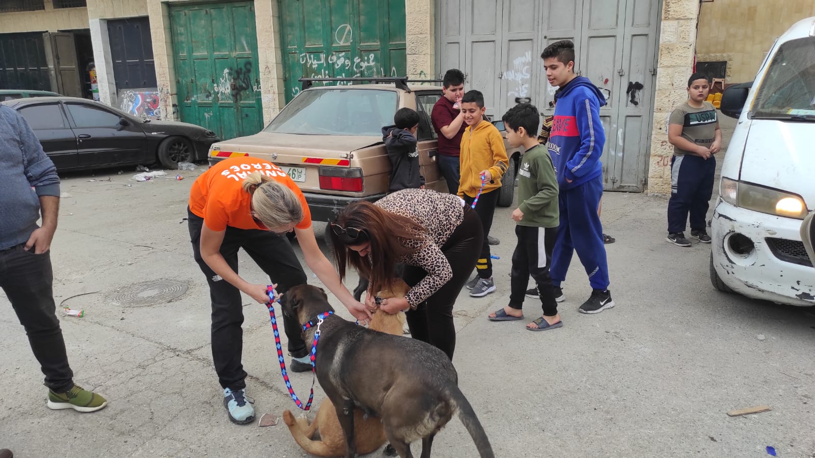 Esther Kef en Diana Babish met zwerfhonden in de Westbank 