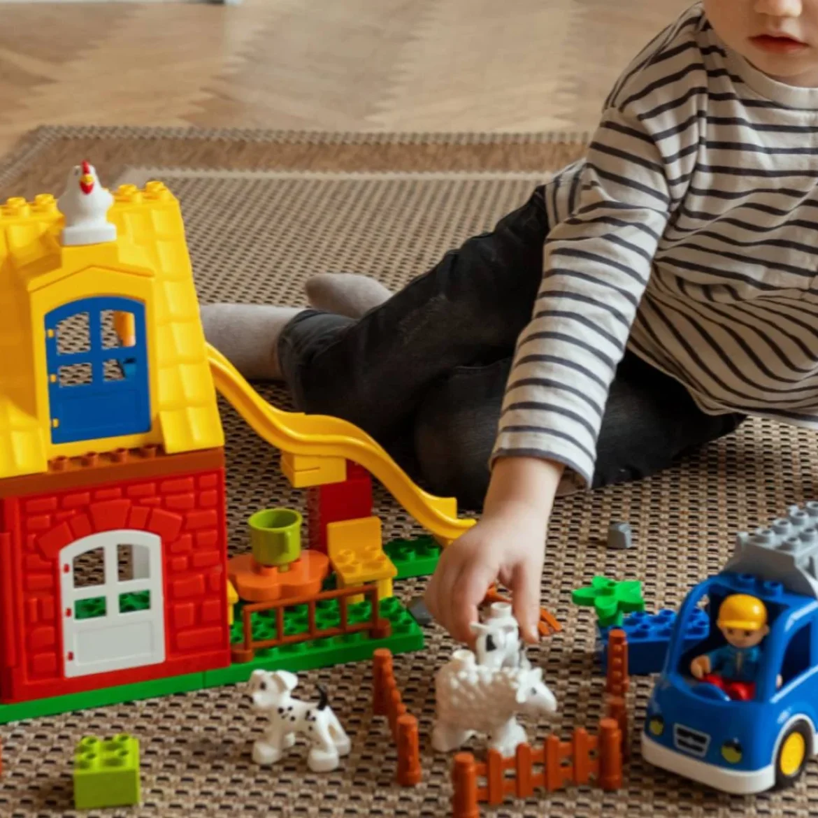 duplo marktplaats