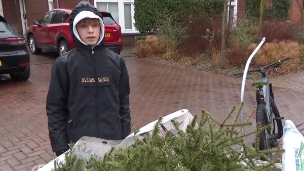 Walter haalt kerstbomen op
