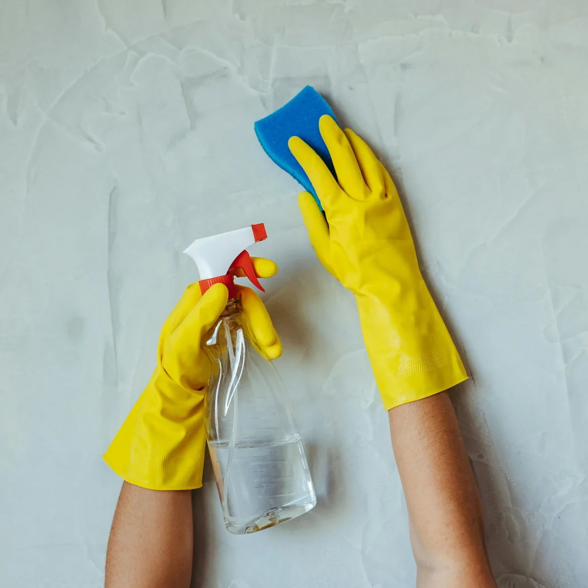 Schoonmaaksponsje