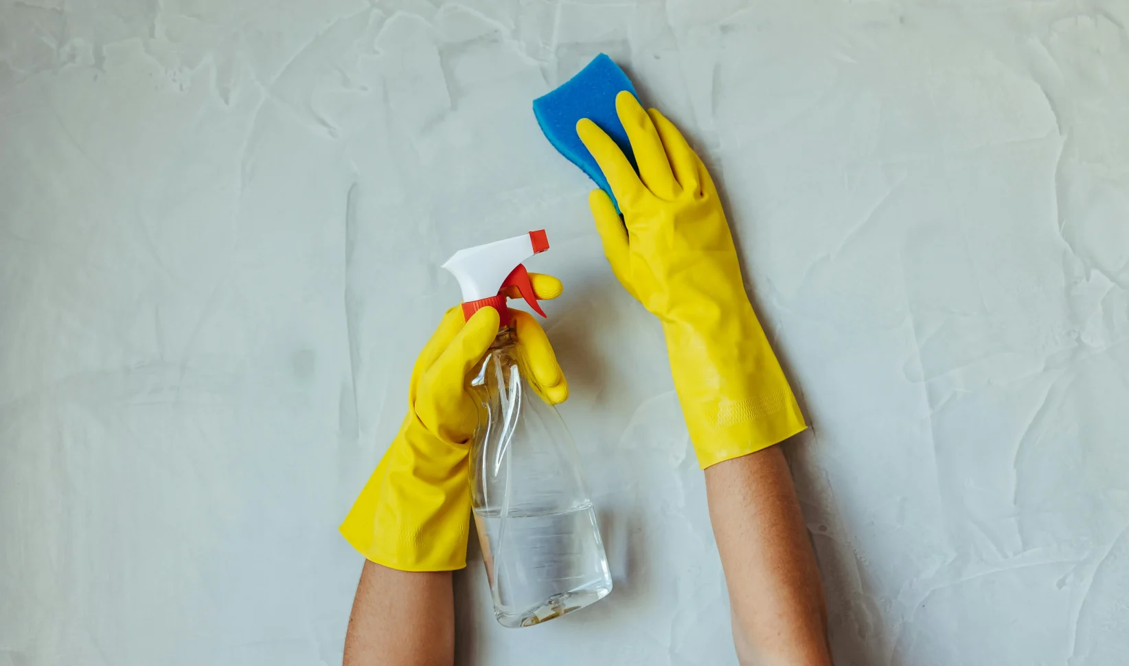 Schoonmaaksponsje