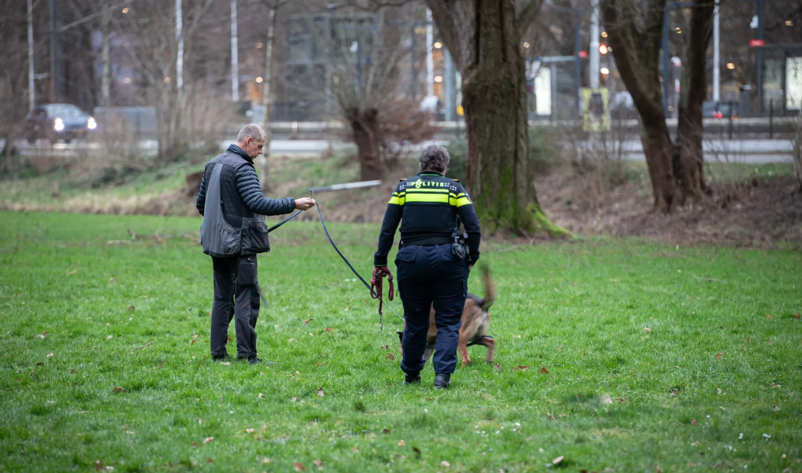 Hondje doodgebeten door vier honden in Amstelveen