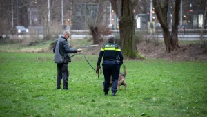 Thumbnail voor Hondje doodgebeten door vier honden in Amstelveen, ondanks waarschuwingsschot en taser politie