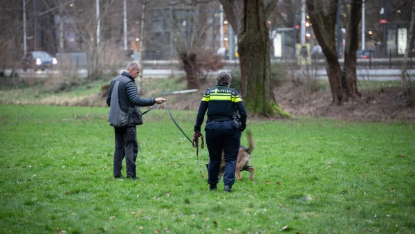 Hondje doodgebeten door vier honden in Amstelveen