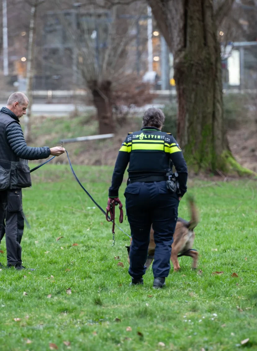 Hondje doodgebeten door vier honden in Amstelveen