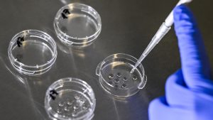 Hooggerechtshof Alabama: 'Ook bevroren embryo's zijn kinderen'