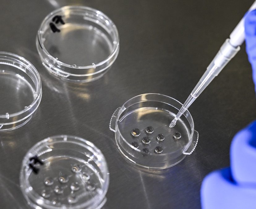 Hooggerechtshof Alabama: 'Ook bevroren embryo's zijn kinderen'