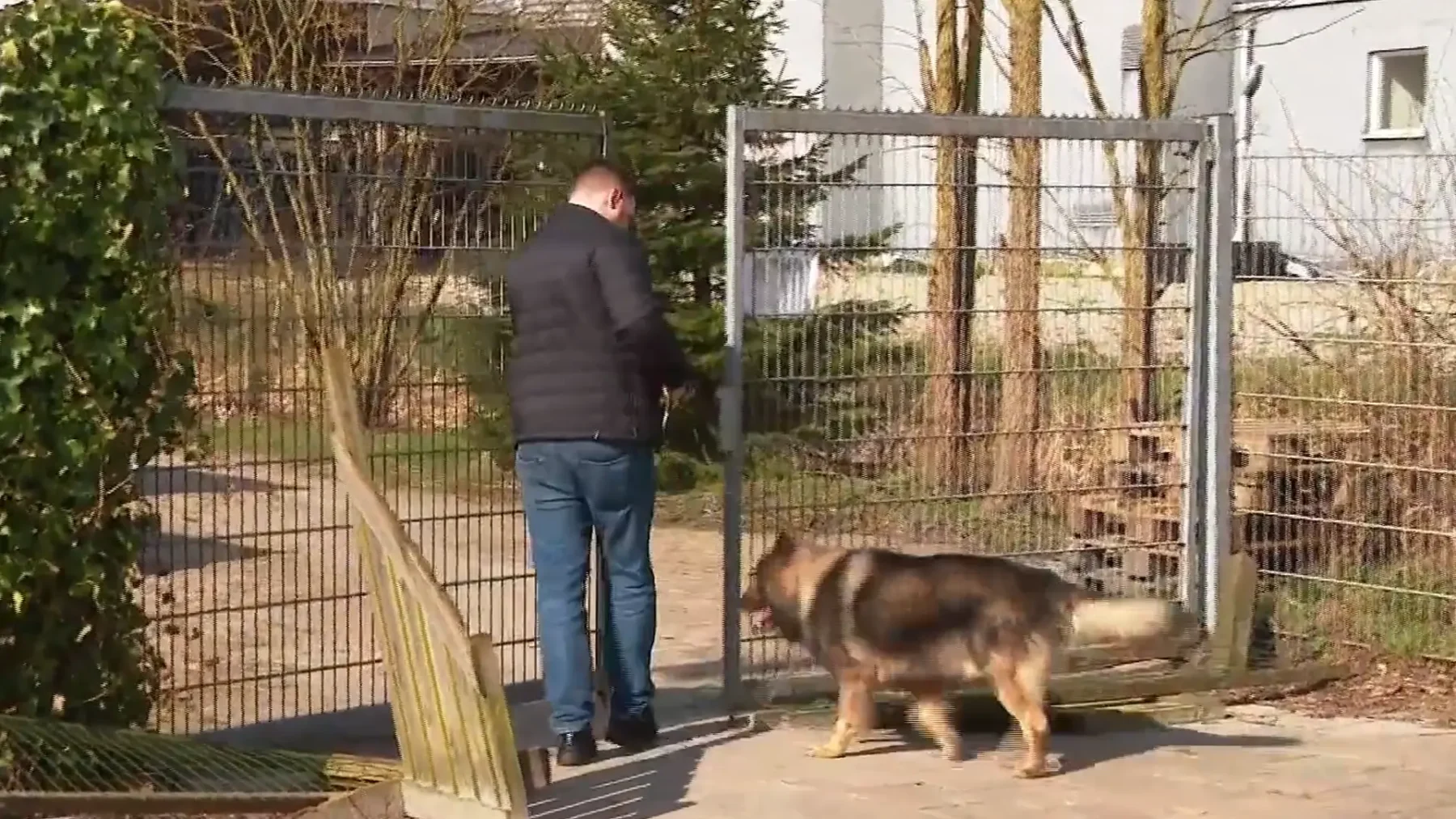 Baasje Björn en de voorheen vermiste hond Loki