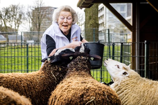 Prinses Beatrix neemt deel aan twintigste editie NLdoet