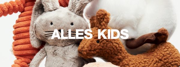 Alles Kids Banner