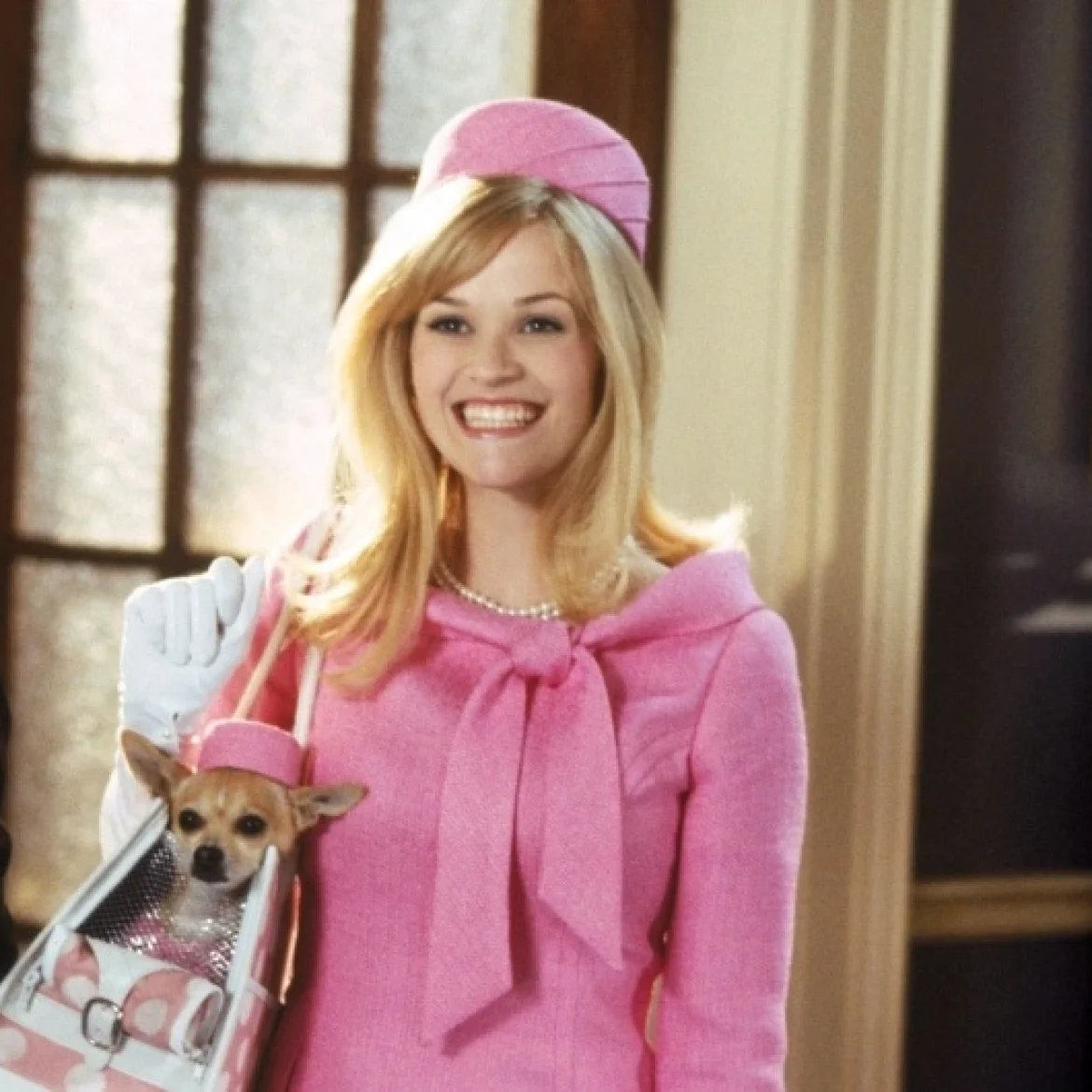 Legally blonde
