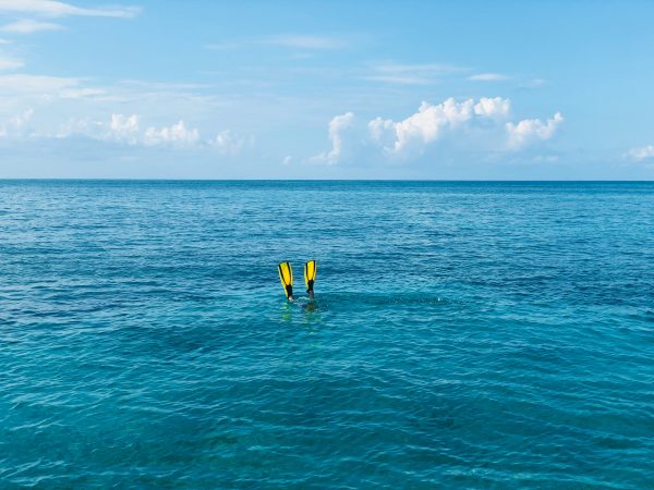 Nederlandse vrouw (51) overleden tijdens het snorkelen in Australië