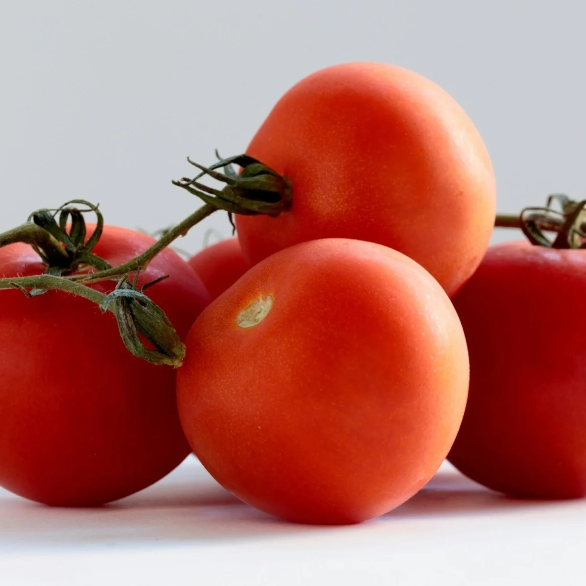 tomaten