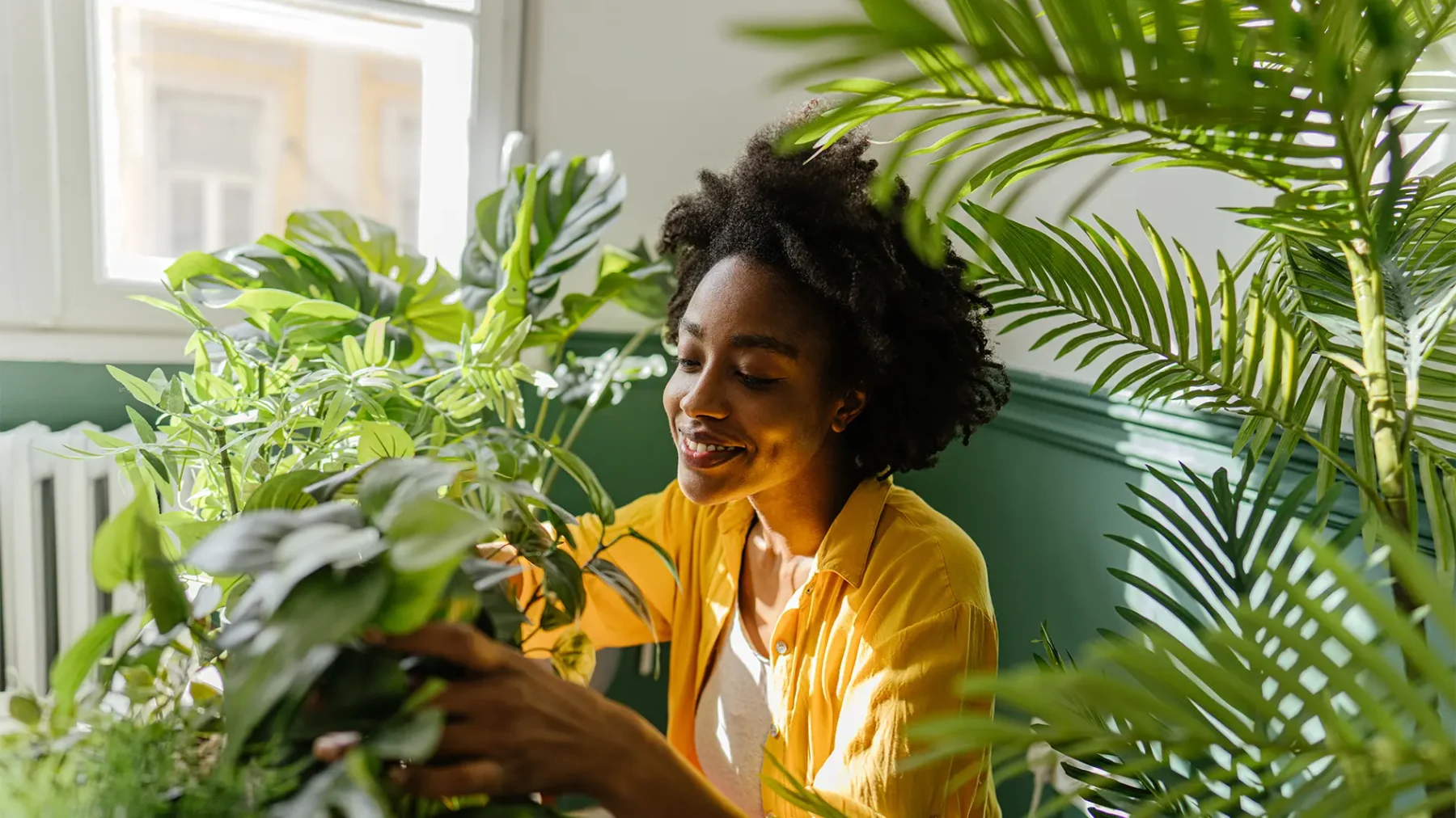 vrouw verzorgt haar kamerplanten